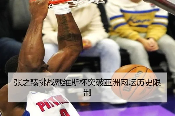 张之臻挑战戴维斯杯突破亚洲网坛历史限制