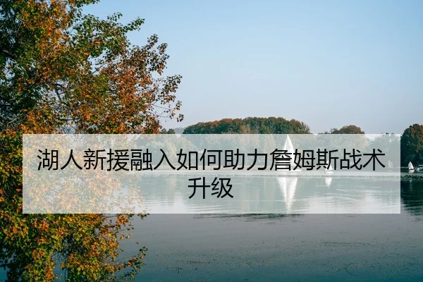 湖人新援融入如何助力詹姆斯战术升级